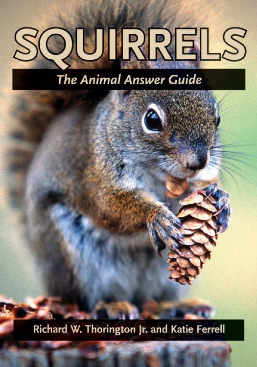 Squirrels: The Animal Answer Guide by Richard W. Thorington Jr. & Katie E. Ferrell