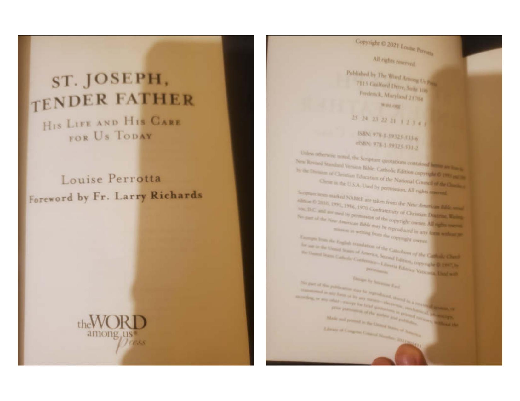 St. Joseph Tender Father by Louise Perrotta