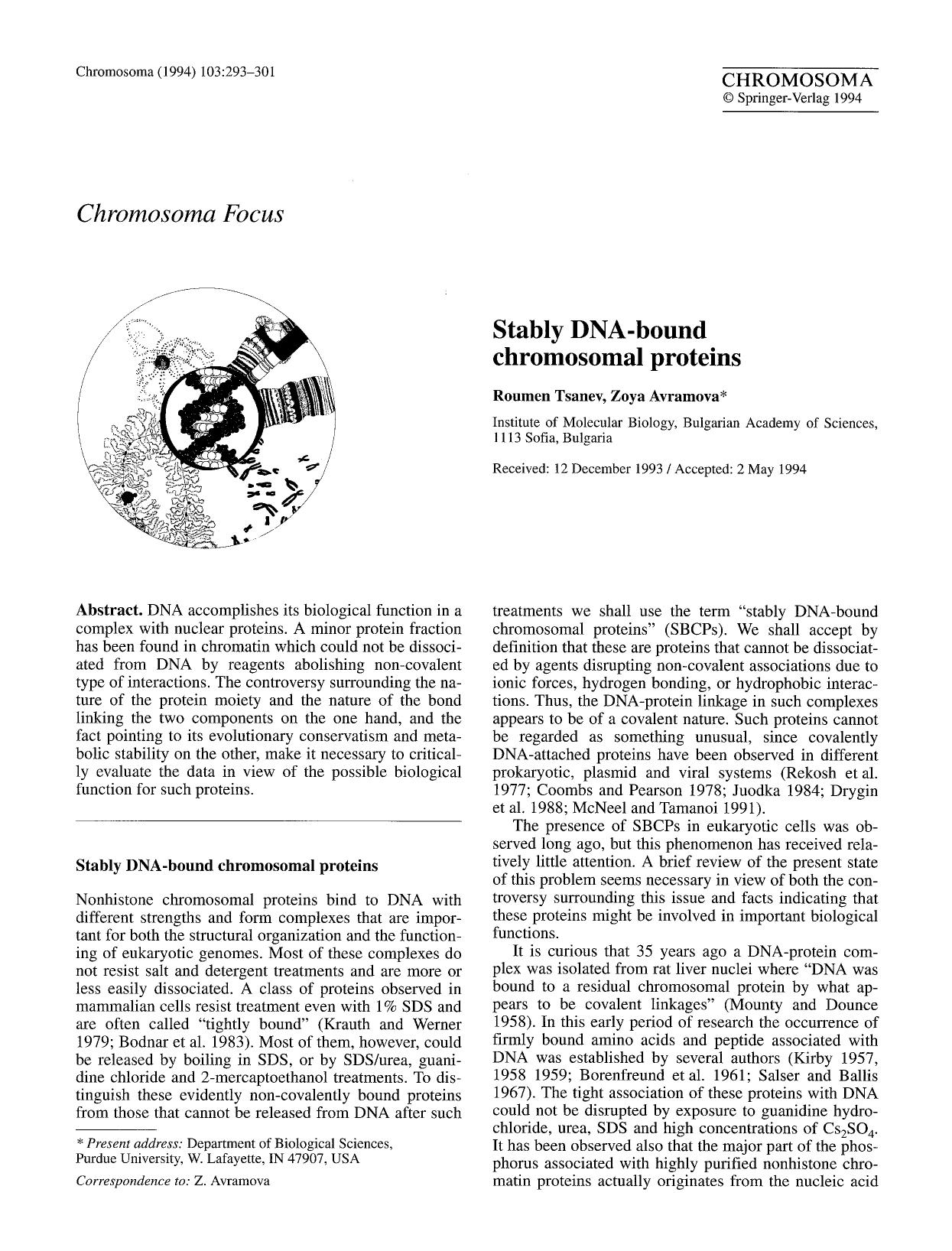Stably DNA-bound chromosomal proteins by Unknown