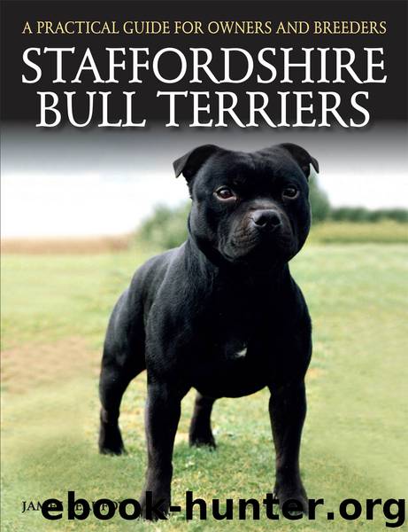 Staffordshire Bull Terriers by James Beaufoy