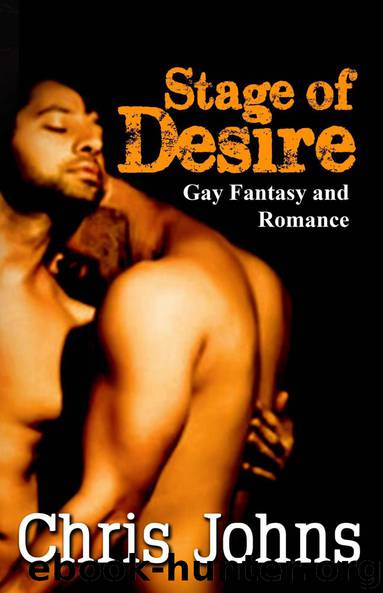Stage of Desire - Gay Fantasy and Romance by Johns Chris