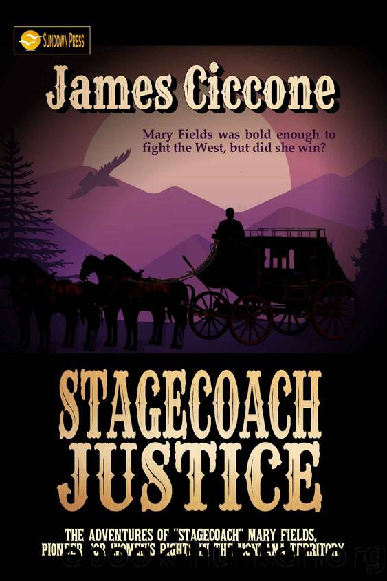 Stagecoach Justice by James Ciccone