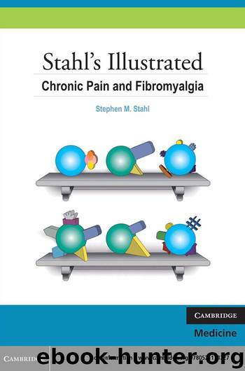 Stahl's Illustrated Chronic Pain and Fibromyalgia by Stephen M. Stahl