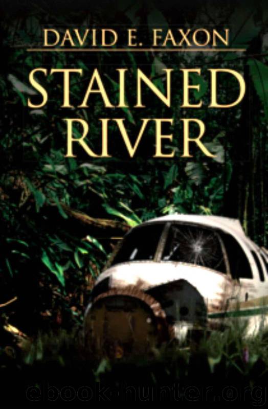 Stained River by Faxon David