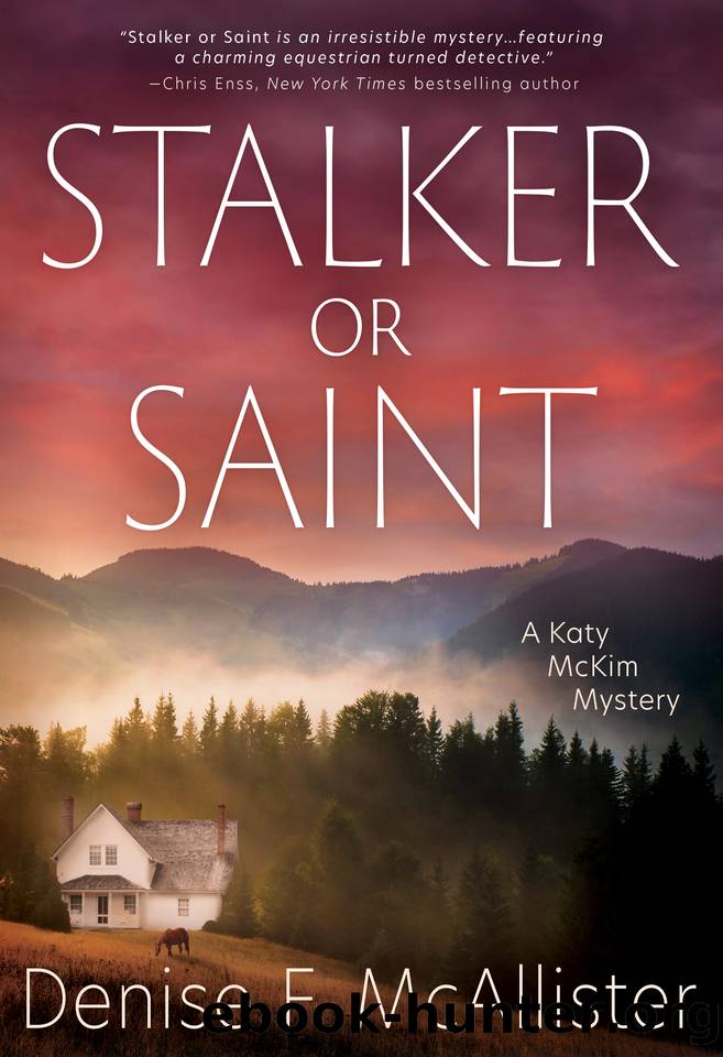 Stalker or Saint: A Katy McKim Mystery by Denise F. McAllister