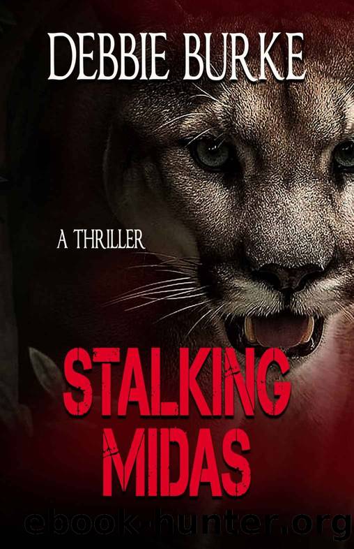 Stalking Midas by Debbie Burke