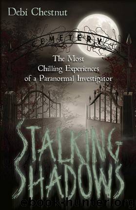 Stalking Shadows by Debi Chestnut