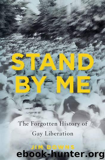 Stand by Me: The Forgotten History of Gay Liberation by Jim Downs