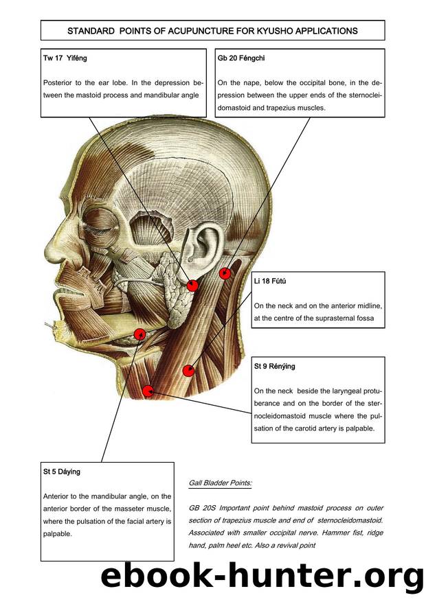 Standard points of acupuncture for kyusho applications by Dave