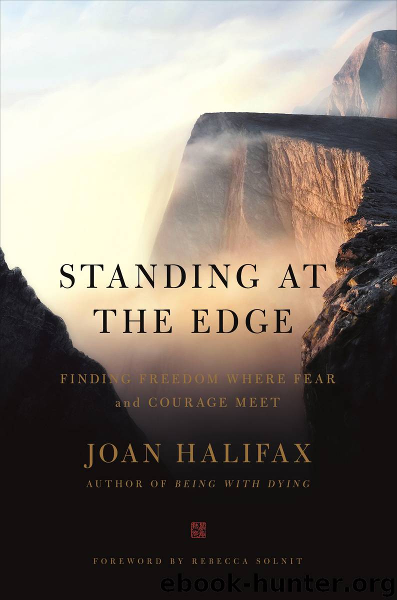 Standing at the Edge by Joan Halifax