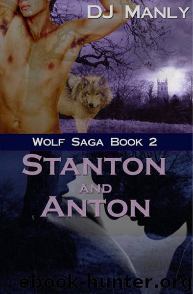 Stanton and Anton by D.J. Manly