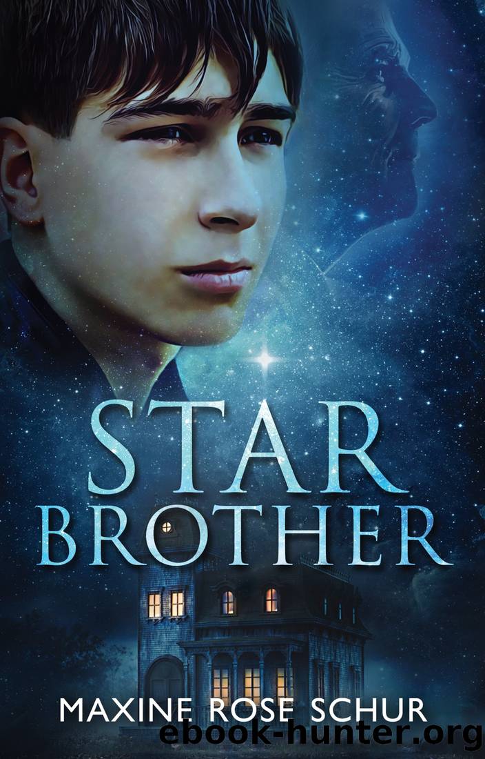 Star Brother by Maxine Rose Schur