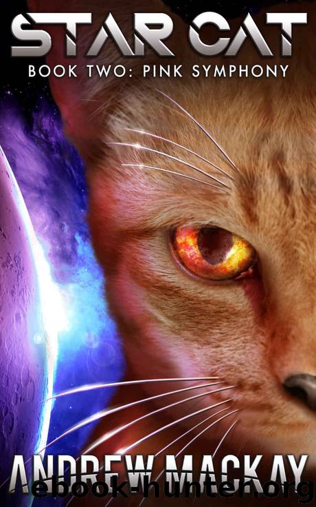 Star Cat: Pink Symphony by Andrew Mackay