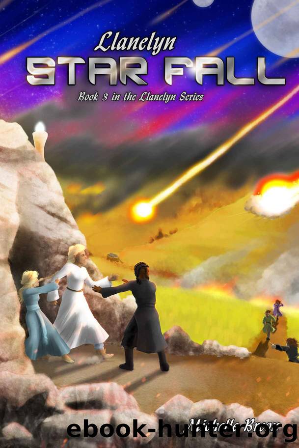 Star Fall by Michelle Breon