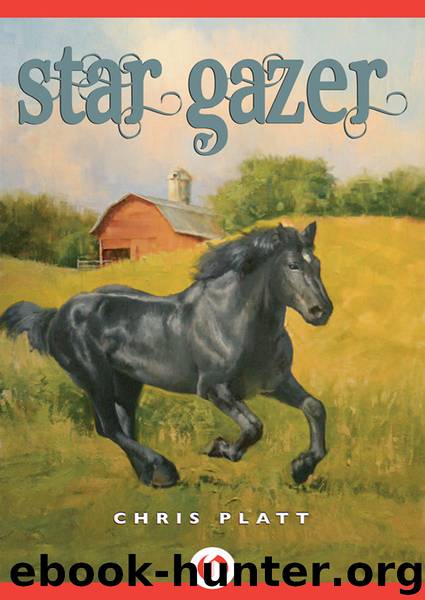 Star Gazer by Chris Platt