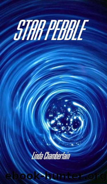 Star Pebble by Linda Chamberlain