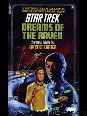 Star Trek - TOS - Dreams Of The Raven by Carmen Carter