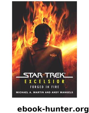 Star Trek TOS - 122 Excelsior Forged in Fire by Michael A. Martin