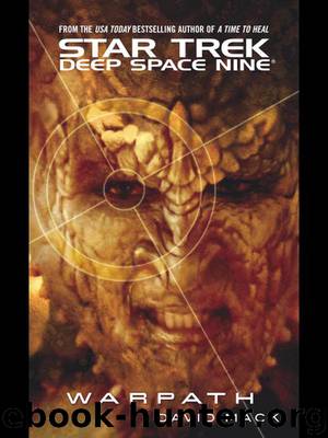 Star Trek by David Mack