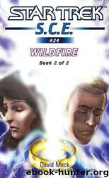 Star Trek: Corps of Engineers: Wildfire: Book 2 by David Mack