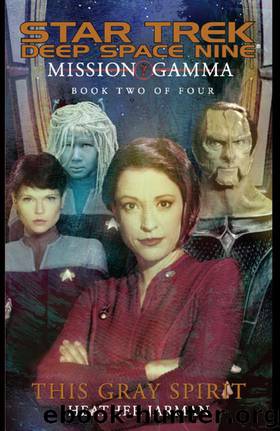 Star Trek: Deep Space Nine - 041 - Mission Gamma 2 - This Gray Spirit by Heather Jarman
