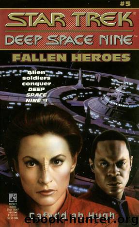 Star Trek: Deep Space Nine: Fallen Heroes by Dafydd Ab Hugh