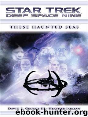 Star Trek: Deep Space Nine: These Haunted Seas by David R. George III & Heather Jarman