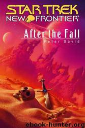 Star Trek: New Frontier - 015 - After the Fall by Peter David