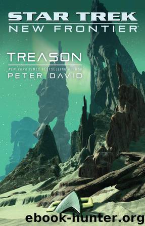 Star Trek: New Frontier - 017 - Treason by Peter David