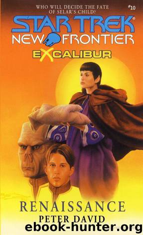 Star Trek: New Frontier: Excalibur: Renaissance by Peter David