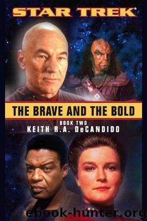 Star Trek: The Brave and the Bold: Book 2 by Keith R.A. DeCandido