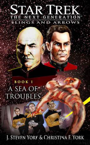 Star Trek: The Next Generation - Slings and Arrows 1 - A Sea of Troubles by J. Steven York & Christina F. York