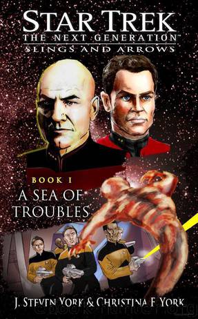 Star Trek: The Next Generation: Slings and Arrows: A Sea of Troubles by J. Steven York & Christina F. York
