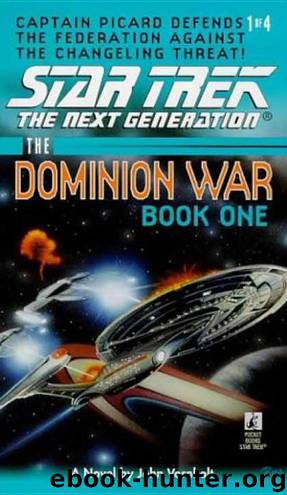 Star Trek: The Next Generation: The Dominion War: Behind Enemy Lines by John Vornholt