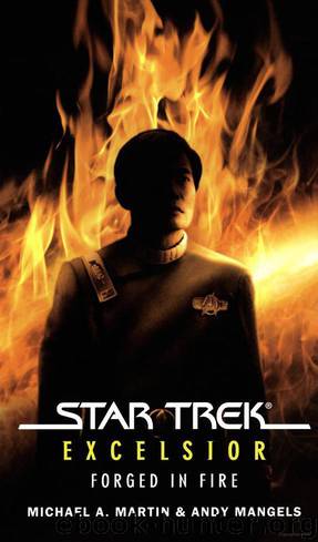 Star Trek: The Original Series - 136 - Excelsior Forged in Fire by Michael A. Martin;Andy Mangels