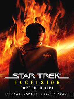 Star Trek®: Excelsior: Forged in Fire by Michael A. Martin & Andy Mangels