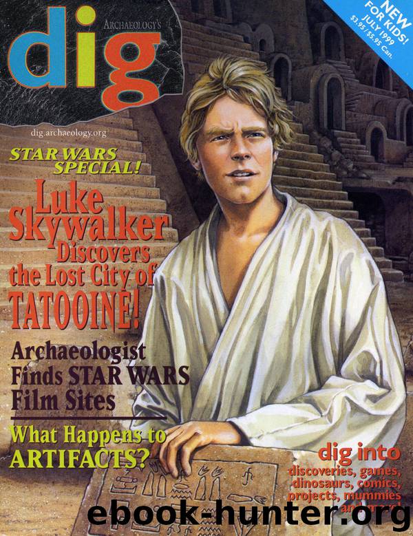 Star Wars - The Lost City of Tatooine by David West Reynolds