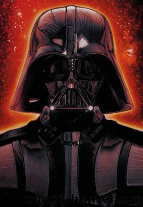 Star Wars - The Rise and Fall of Darth Vader by Ryder Windham