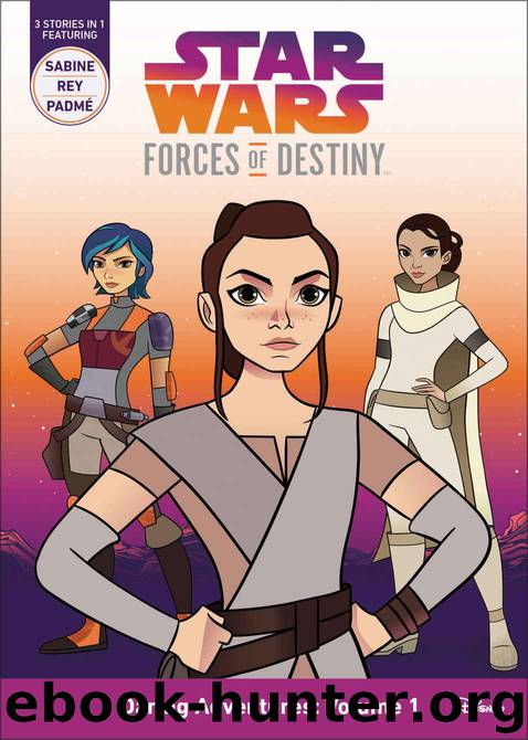 Star Wars Forces of Destiny: Daring Adventures: Volume 1: (Sabine, Rey, PadmÃ©) (Star Wars: Forces of Destiny) by Emma Carlson Berne