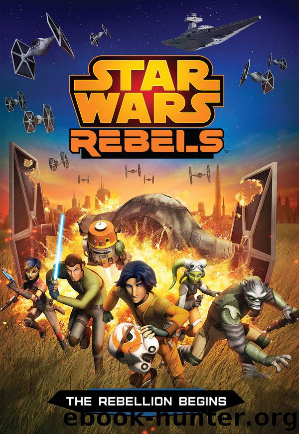 Star Wars Rebels by Michael Kogge