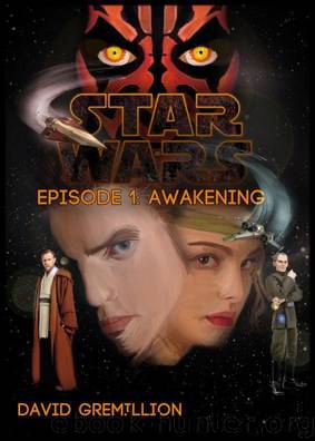 Star Wars: Awakening by David Gremillion
