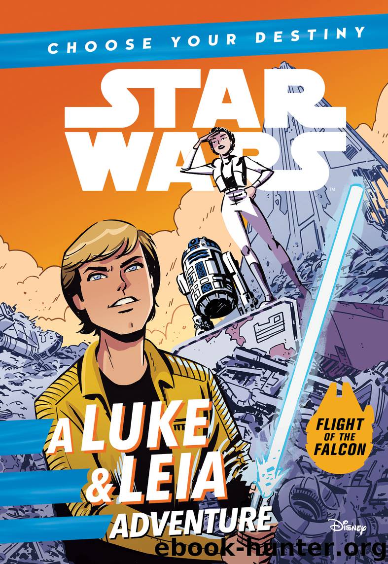 Star Wars: Choose Your Destiny: A Luke & Leia Adventure by Cavan Scott