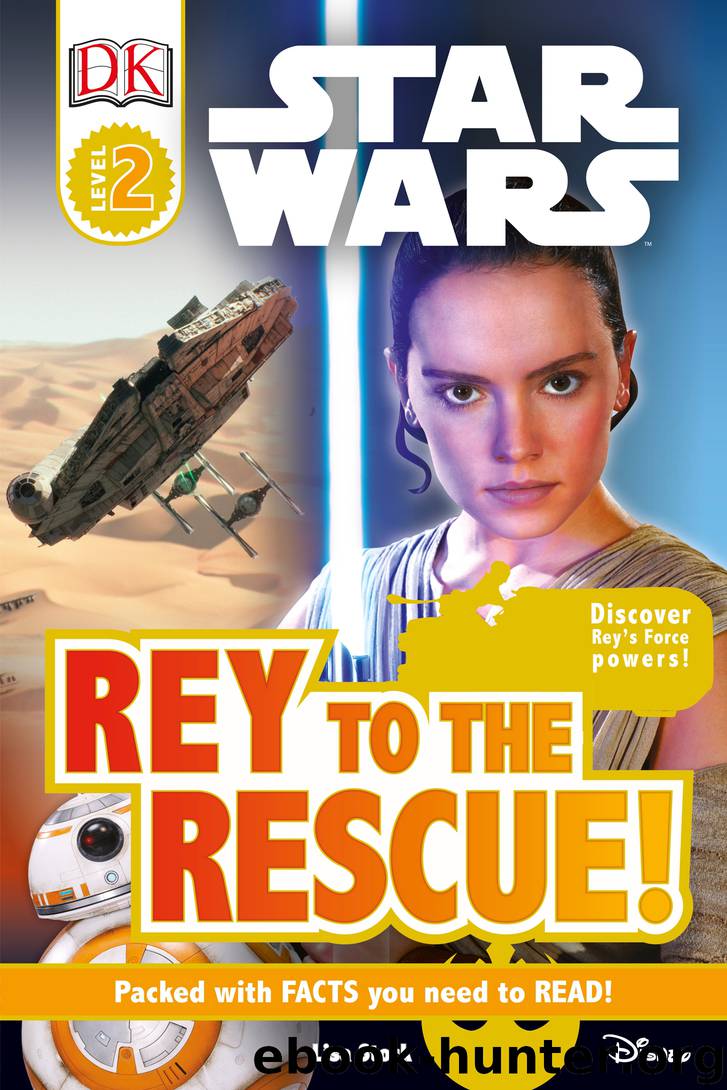 Star Wars: Rey to the Rescue by Lisa Stock