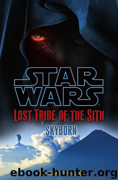Star Wars: Skyborn by John Jackson Miller