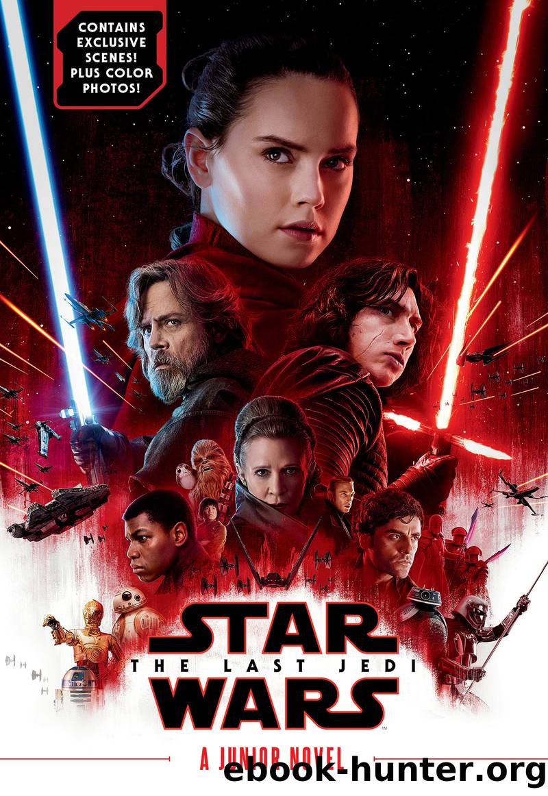 Star Wars: The Last Jedi by Michael Kogge