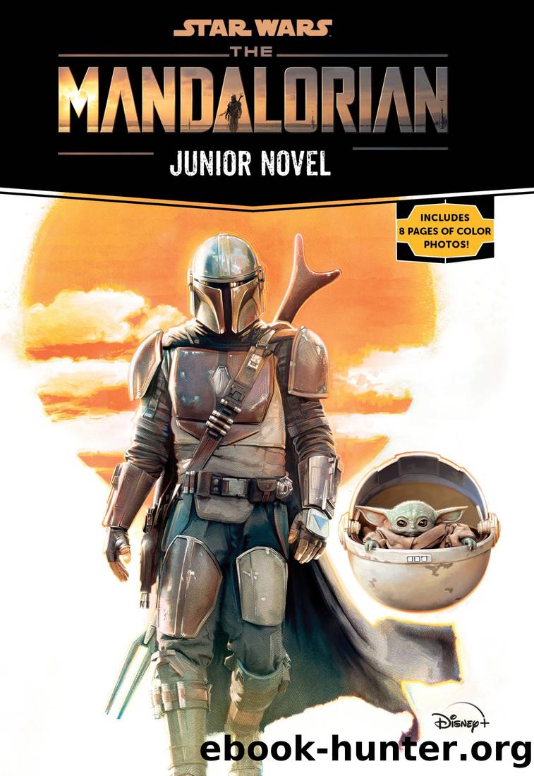 Star Wars: The Mandalorian Junior Novel by Joe Schreiber