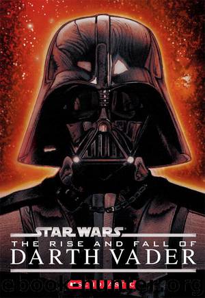 Star Wars®: The Rise and Fall of Darth Vader by Ryder Windham