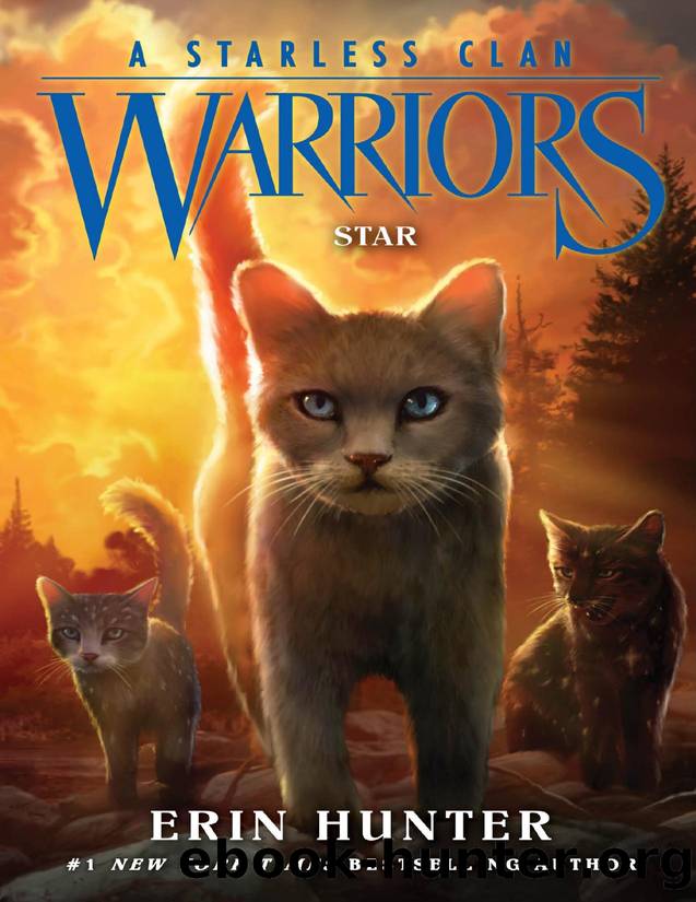Star by Erin Hunter