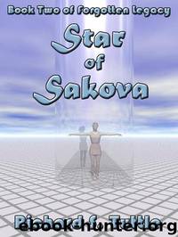 Star of Sakova by Richard S. Tuttle