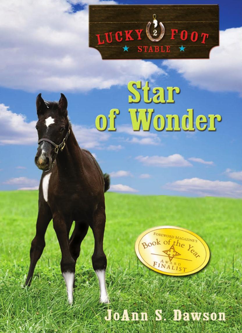 Star of Wonder (Lucky Foot Stable) by JoAnn S. Dawson